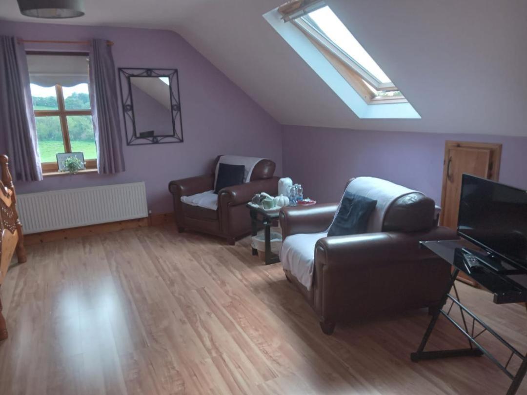 Ballytigue House Clarecastle Bagian luar foto