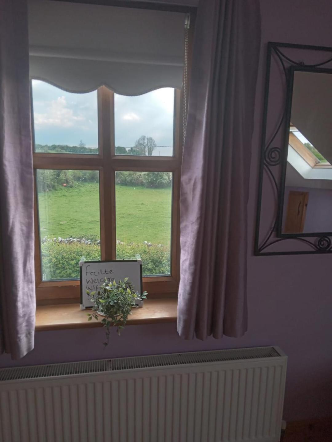 Ballytigue House Clarecastle Bagian luar foto